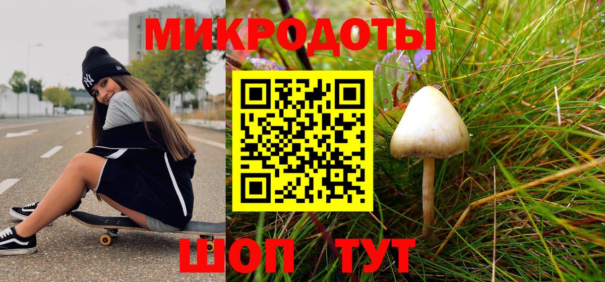 Галлюциногенные грибы Psilocybe  Галлюциногенные грибы Psilocybine cubensis  Вход с VPN  Майкоп 
